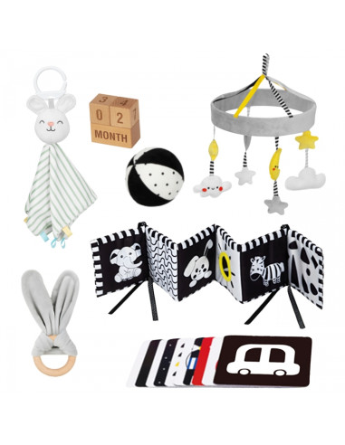 WOOPIE GREEN XXL Montessori sensorinė ir edukacinė dėžutė 7in1 FSC