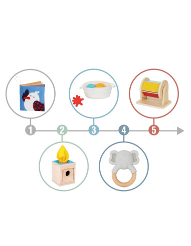 WOOPIE GREEN Box XXL Montessori edukacinė 6in1 sensorinė dėžutė, FSC