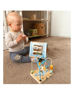 TOOKY TOY medinis veiklos kubas - Erdvė 2