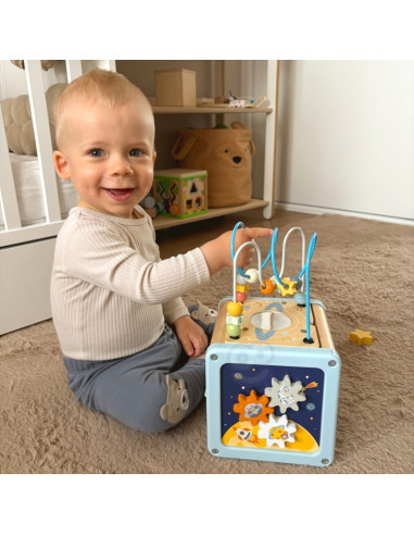 TOOKY TOY medinis veiklos kubas - Erdvė