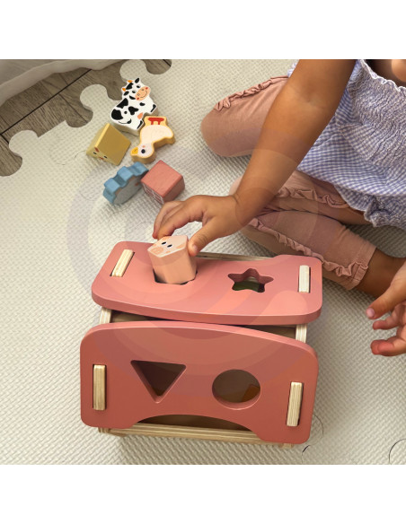 TOOKY TOY Farm Wooden Animal Shape Sorter