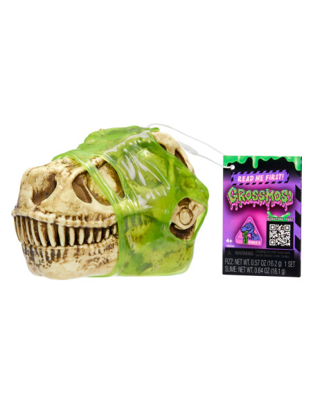 121046-EUC Gross-a-Saurus Blind Asst