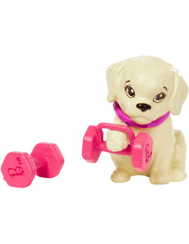 Barbie Doll Athletic Trainer HKT91 GKH73