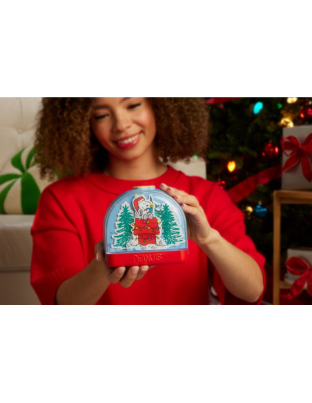 Polly Pocket Peanuts Holiday Collector JFV05