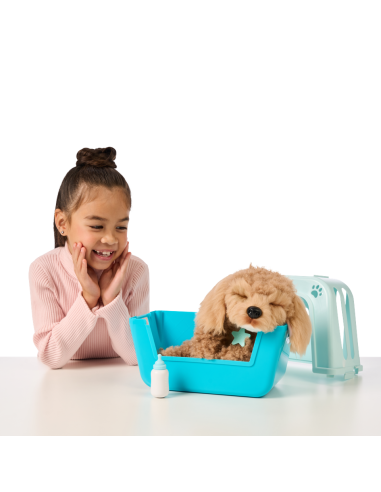 Little Live Pets Real Puppy Cavoodle 26612