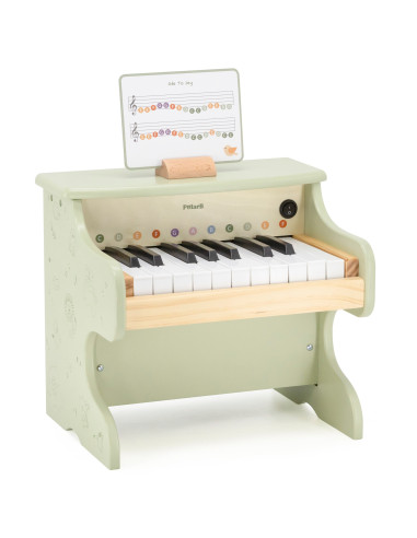 Viga Green Piano Learning to Play