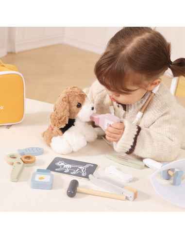 VIGA PolarB Pet Care Kit – Little Veterinarian