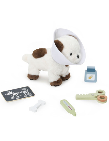 VIGA PolarB Pet Care Kit – Little Veterinarian