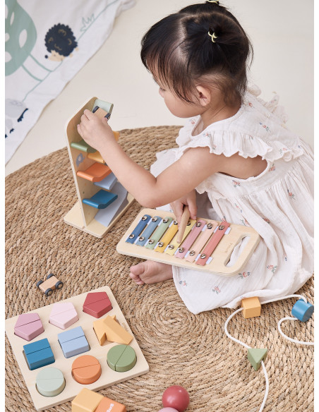 VIGA Educational Toy Box Set from 18 months to 24 months