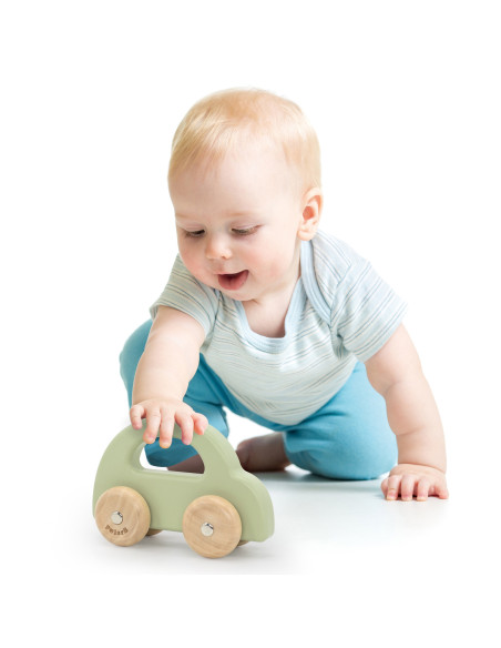 VIGA PolarB Wooden Push Car Green