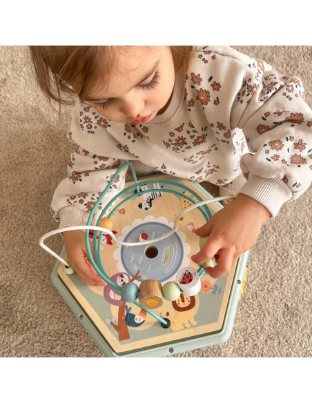 TOOKY TOY Interactive Wooden Montessori Hexagon Opening Box
