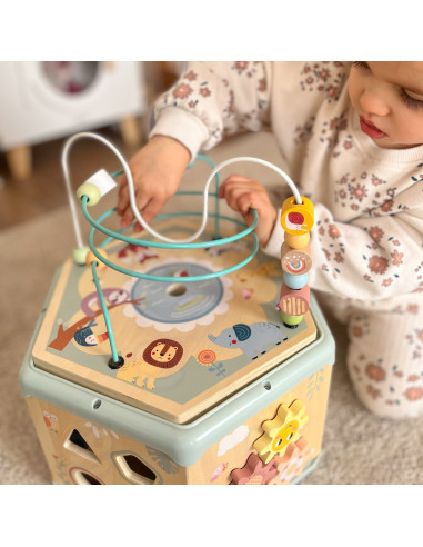 TOOKY TOY Interactive Wooden Montessori Hexagon Opening Box