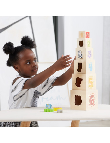 VIGA Wooden Pyramid Puzzle Blocks Sorter Montessori