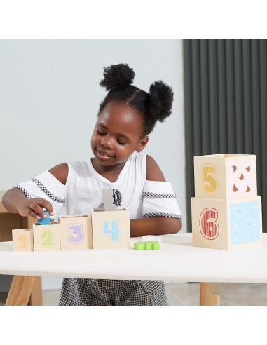 VIGA Wooden Pyramid Puzzle Blocks Sorter Montessori