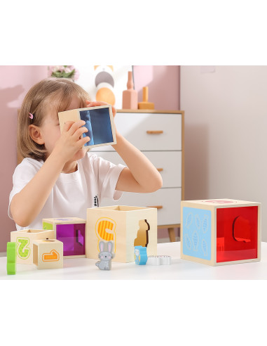 VIGA Wooden Pyramid Puzzle Blocks Sorter Montessori