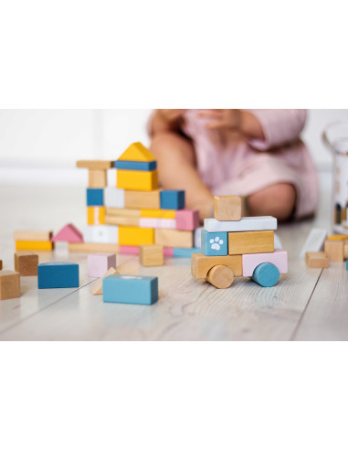 VIGA PolarB Medinių kaladėlių rinkinys kibirėlyje - 60 dalių