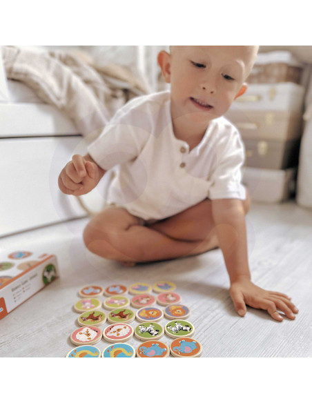 VIGA Animal Memory Game