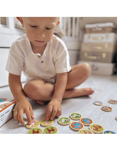 VIGA Animal Memory Game