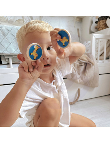 VIGA Animal Memory Game