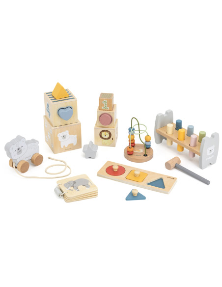 VIGA edukacinių žaislų dėžės rinkinys nuo 12 iki 18 mėnesių