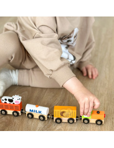 VIGA Set of accessories for the train - agricultural train 2