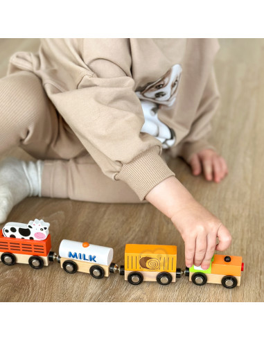 VIGA Set of accessories for the train - agricultural train