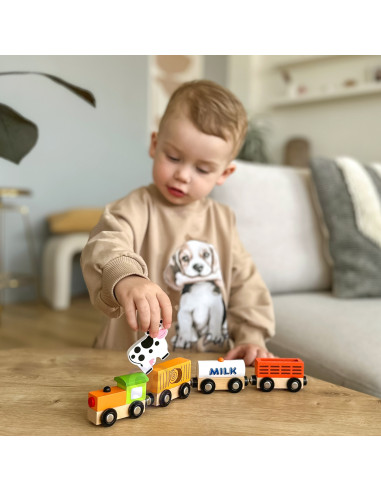 VIGA Set of accessories for the train - agricultural train