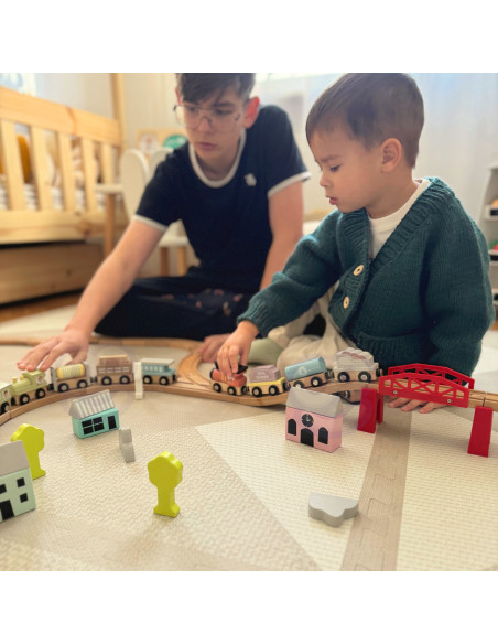 TOOKY TOY Wooden Magnetic Carriages