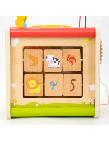 Viga Wooden Educational Cube 5-in-1