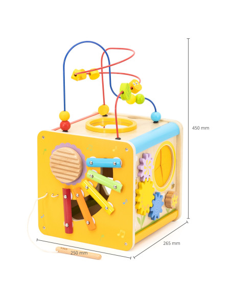 Viga Wooden Educational Cube 5-in-1