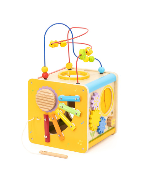 Viga Wooden Educational Cube 5-in-1