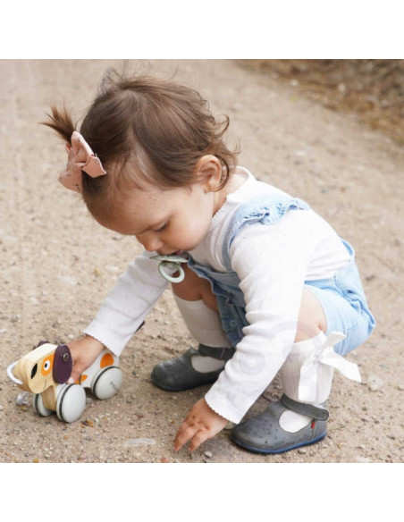 VIGA PolarB medinis traukimo šuo