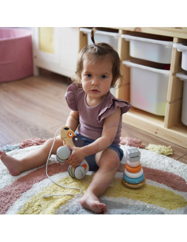 VIGA PolarB medinis traukimo šuo