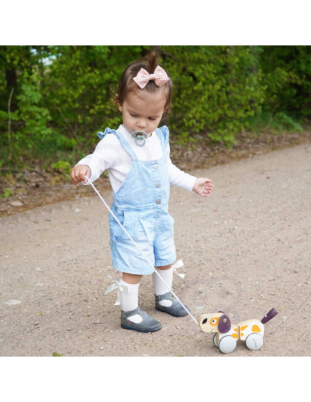 VIGA PolarB medinis traukimo šuo