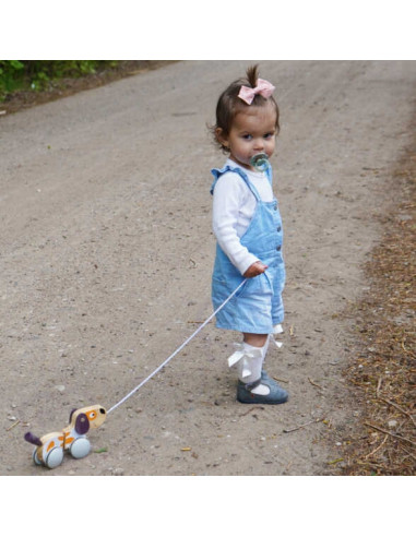 VIGA PolarB Wooden Pulling Dog