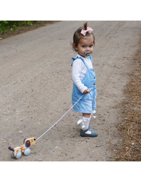 VIGA PolarB Wooden Pulling Dog