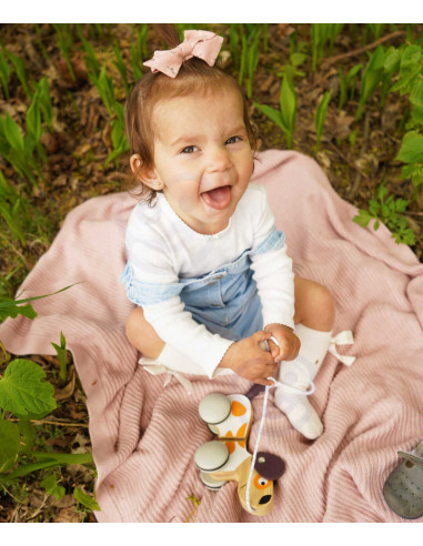 VIGA PolarB medinis traukimo šuo