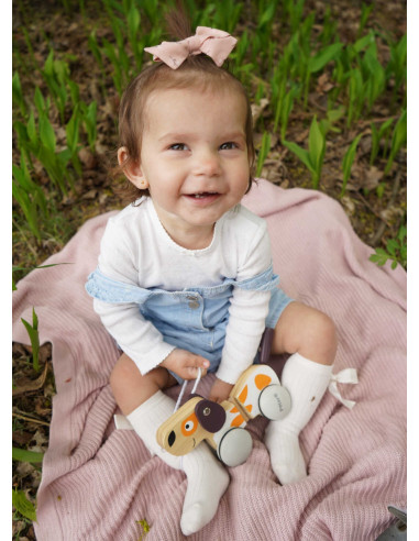 VIGA PolarB Wooden Pulling Dog