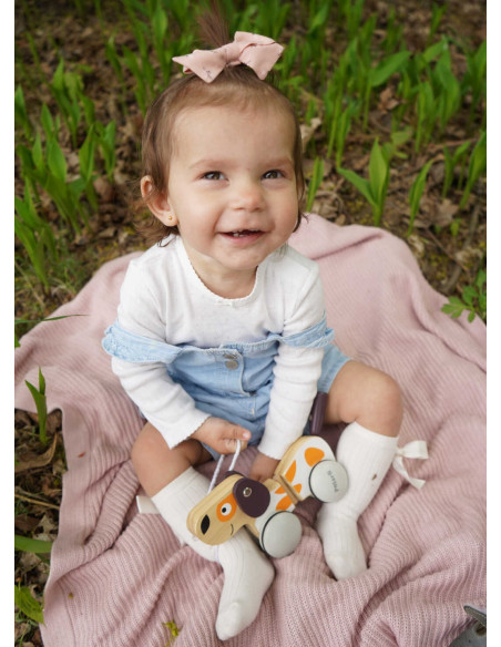 VIGA PolarB Wooden Pulling Dog