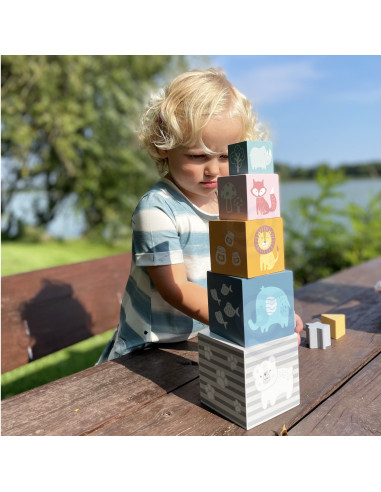 VIGA PolarB Pyramid Educational Puzzle Cube Sorter Blocks