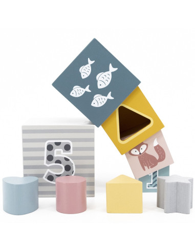 VIGA PolarB Pyramid Educational Puzzle Cube Sorter Blocks