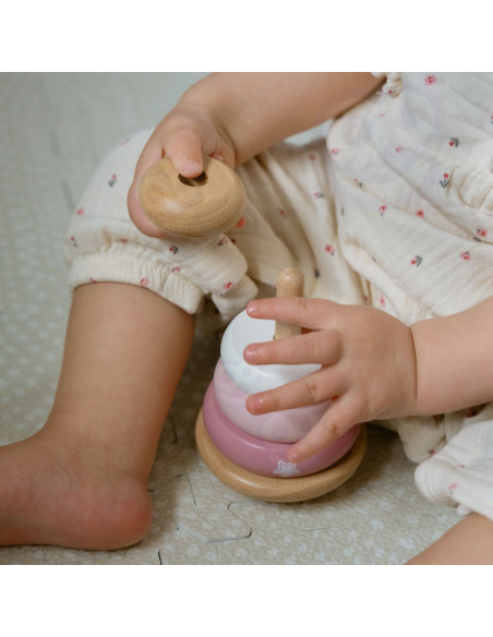 VIGA PolarB medinė edukacinė piramidė - Lapė