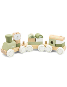 VIGA PolarB Green Train Train with Carriages Blocks 2