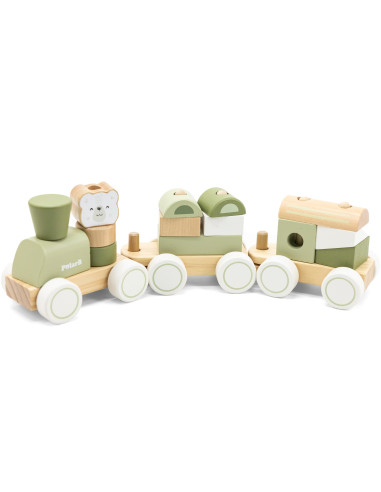 VIGA PolarB Green Train Train with Carriages Blocks
