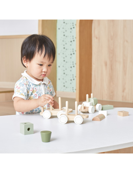 VIGA PolarB Green Train Train with Carriages Blocks