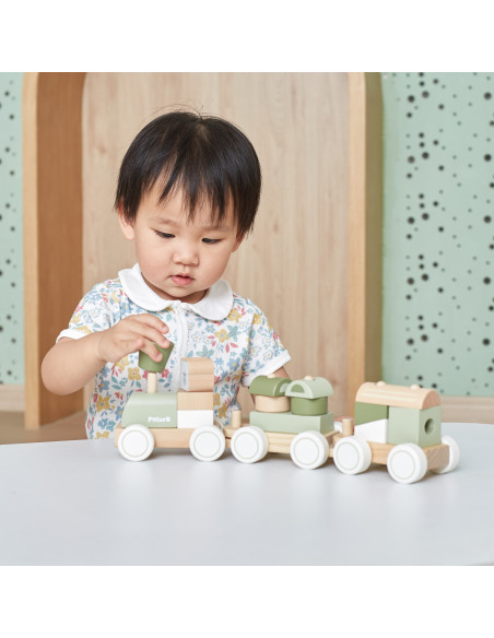 VIGA PolarB Green Train Train with Carriages Blocks