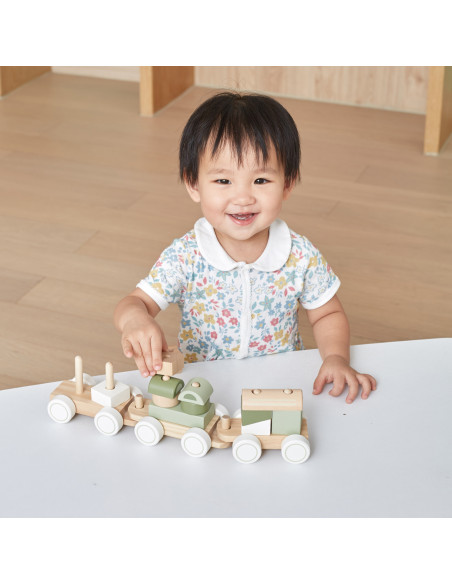 VIGA PolarB Green Train Train with Carriages Blocks