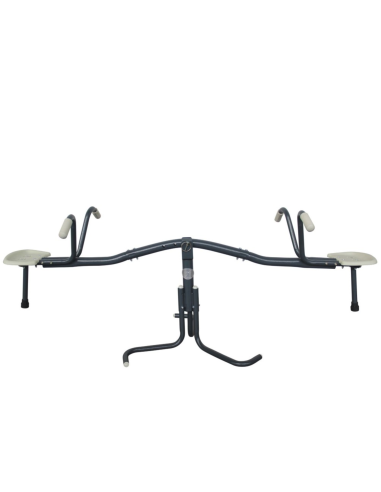 AXI Metal Swivel Scale Swing Anthracite