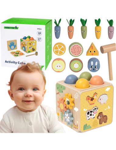 TOOKY TOY medinis spyruoklinis lavinamasis kubas 5 viename