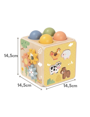 TOOKY TOY medinis spyruoklinis lavinamasis kubas 5 viename